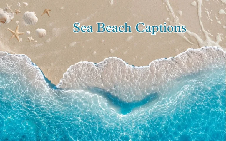 Sea Beach Captions: 50+ Best Instagram Quotes Sea Beach Captions